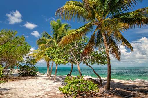 Editors' Picks: 20 of the Best Things to Do in Florida!