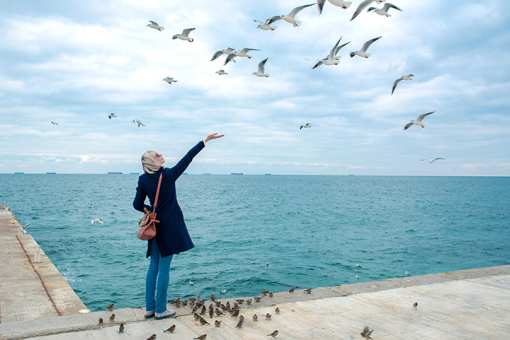 The 11 Best Fall Activities to Do in Florida!