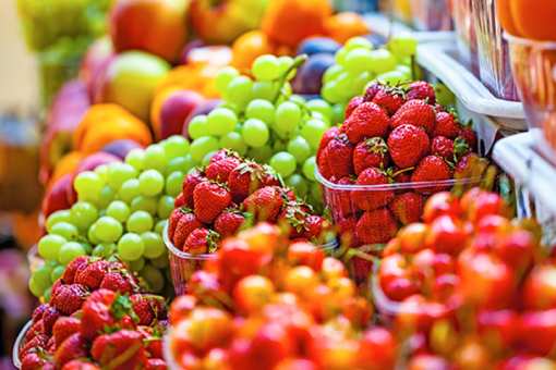 8 Best Farmers Markets in Florida!